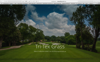  Tri-Tex Grass - no longer online 